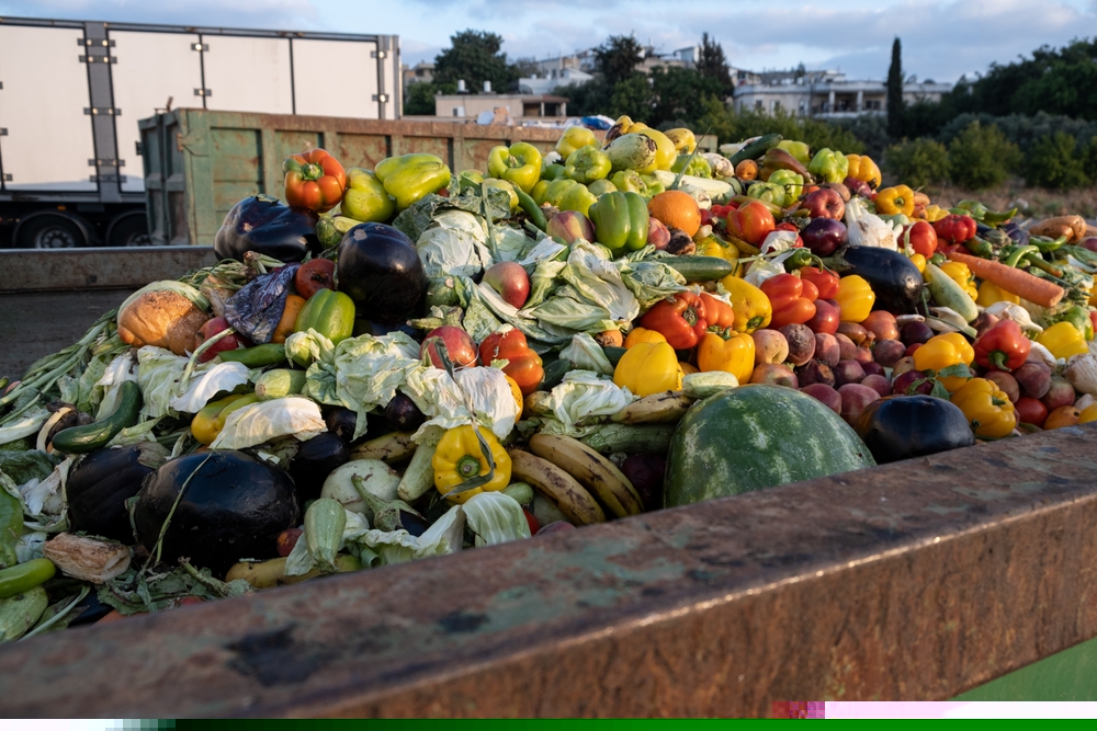 Food waste