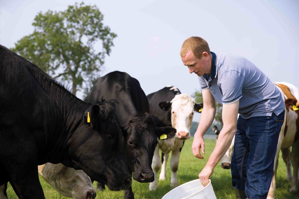 Lidl increases investment in British food by 40% to £21bn